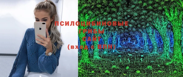молекула духа Алексеевка