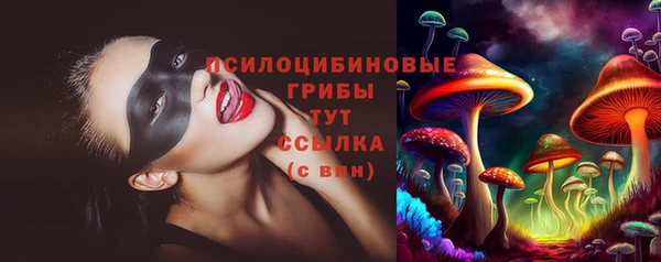 молекула духа Алексеевка