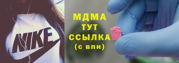 стаф Алзамай