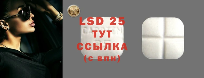 стаф Алзамай