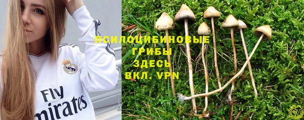 сатива Абинск