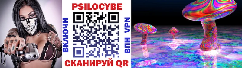 Псилоцибиновые грибы прущие грибы  Юхнов 